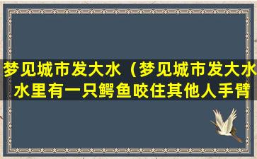 梦见城市发大水（梦见城市发大水 水里有一只鳄鱼咬住其他人手臂）